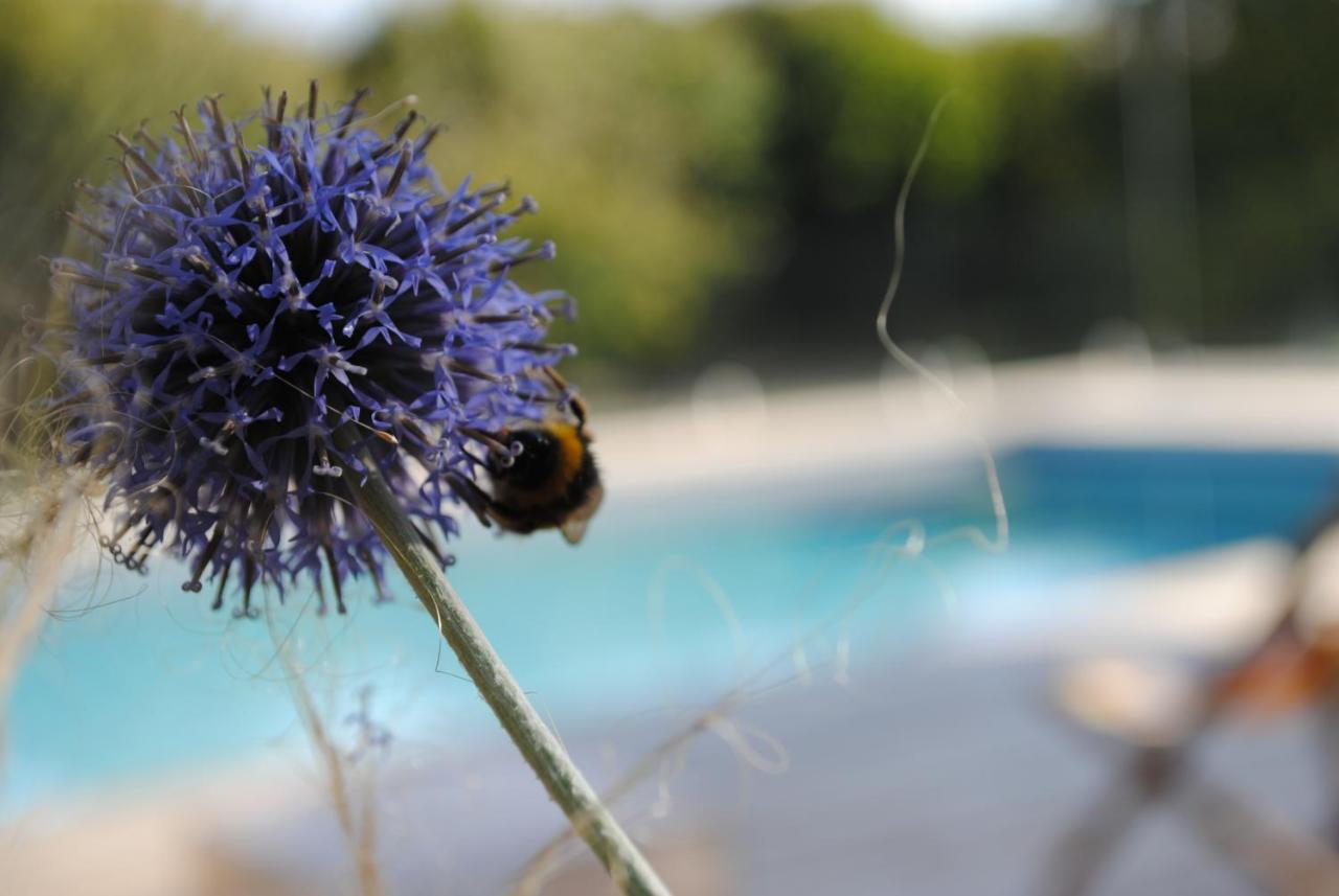 Eco-Gite - Domaine De La Gavolerie Bessé-sur-Braye Esterno foto