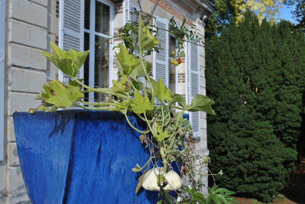 Eco-Gite - Domaine De La Gavolerie Bessé-sur-Braye Esterno foto